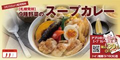 「9種野菜のスープカレー」